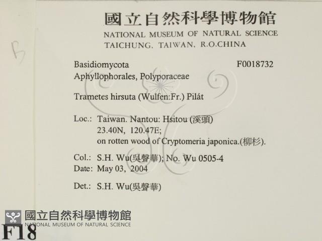 登錄號:F0018732藏品圖，第2張