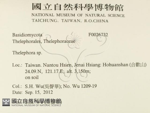 革菌屬藏品圖，第2張