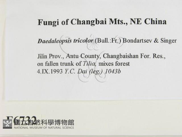 登錄號:F0006732藏品圖，第2張