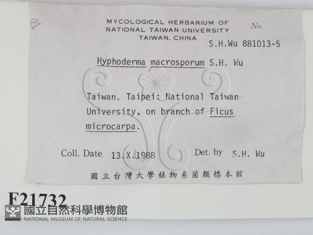 登錄號:F0021732藏品圖，第2張
