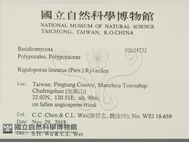 登錄號:F0034732藏品圖，第2張