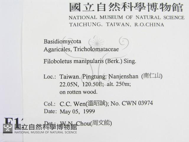 登錄號:F0012732藏品圖，第2張