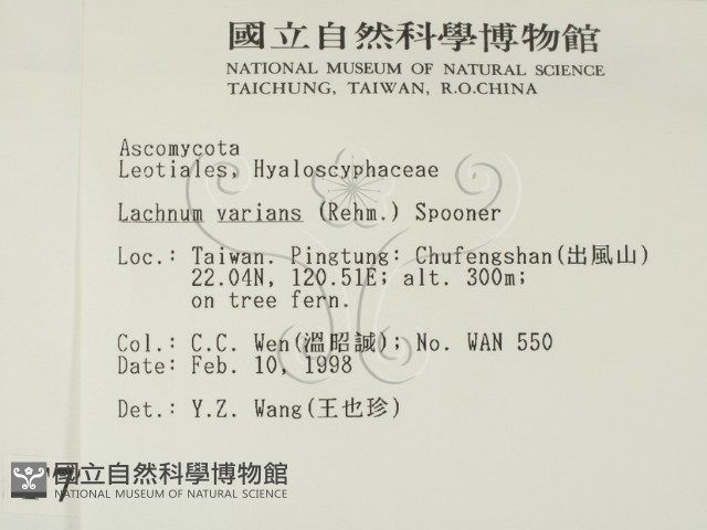 登錄號:F0007732藏品圖，第2張