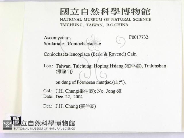 登錄號:F0017732藏品圖，第2張