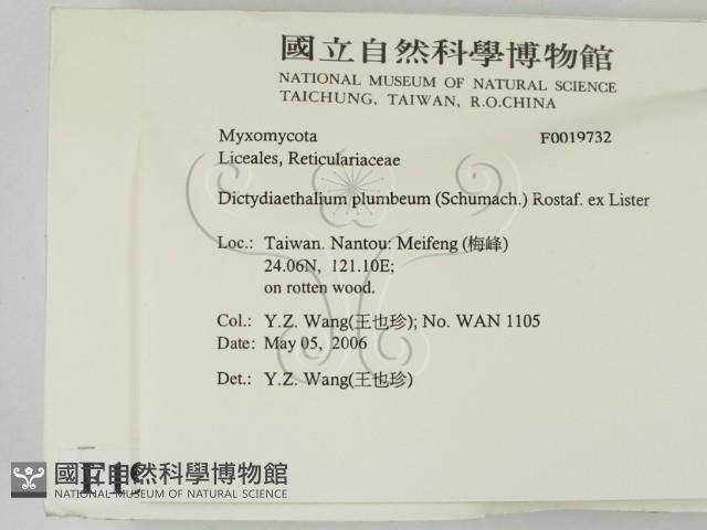 登錄號:F0019732藏品圖，第2張