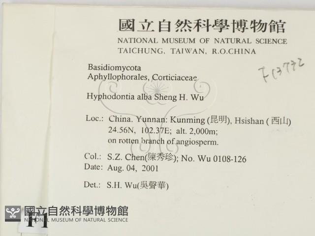 登錄號:F0013732藏品圖，第2張
