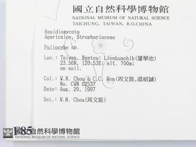 登錄號:F0008532藏品圖，第2張