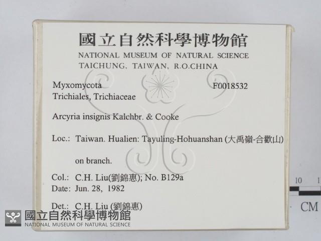 登錄號:F0018532藏品圖，第2張