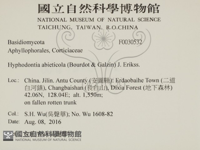 登錄號:F0030532藏品圖，第2張