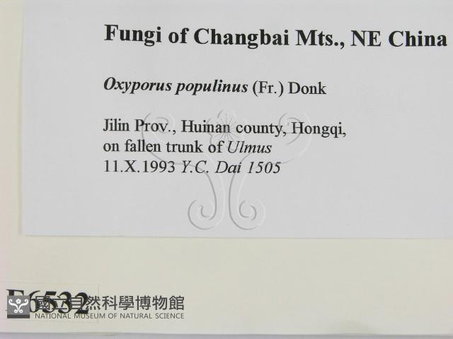 登錄號:F0006532藏品圖，第2張