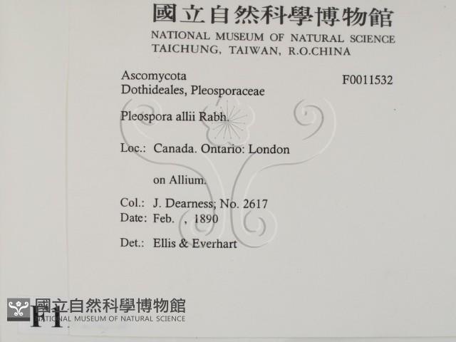 登錄號:F0011532藏品圖，第2張