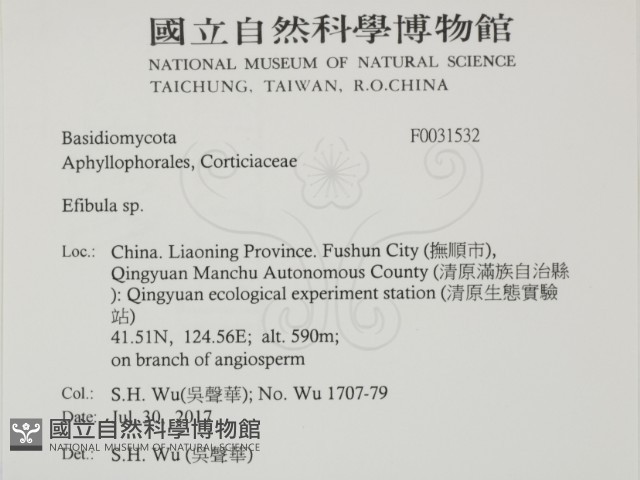 登錄號:F0031532藏品圖，第2張
