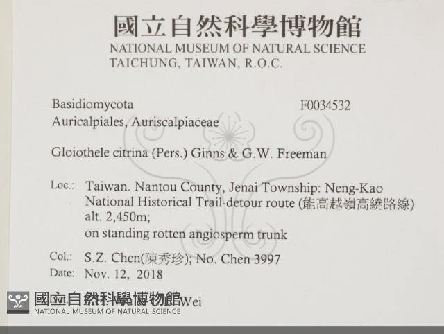 登錄號:F0034532藏品圖，第2張