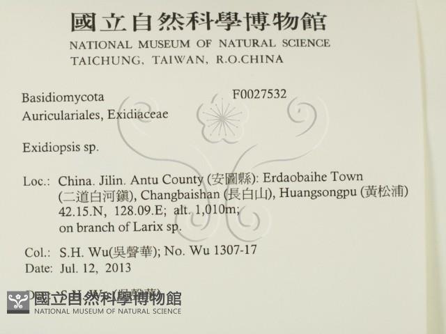 登錄號:F0027532藏品圖，第2張