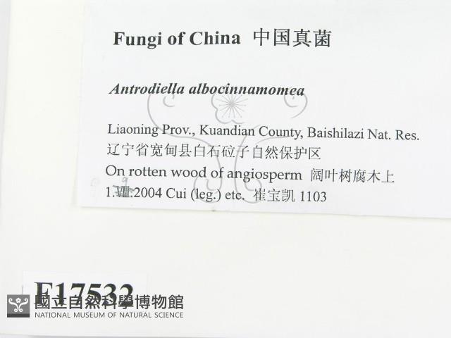 登錄號:F0017532藏品圖，第2張