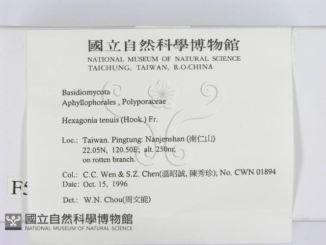 登錄號:F0005532藏品圖，第2張