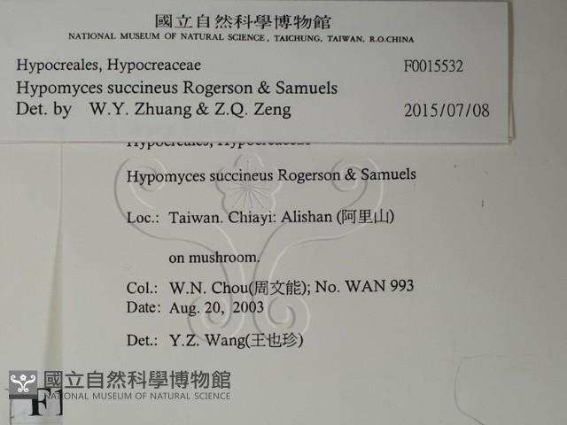 登錄號:F0015532藏品圖，第2張