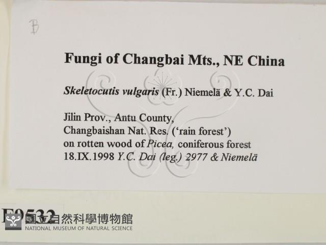 登錄號:F0009532藏品圖，第2張