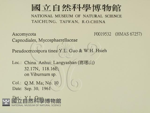 登錄號:F0019532藏品圖，第2張