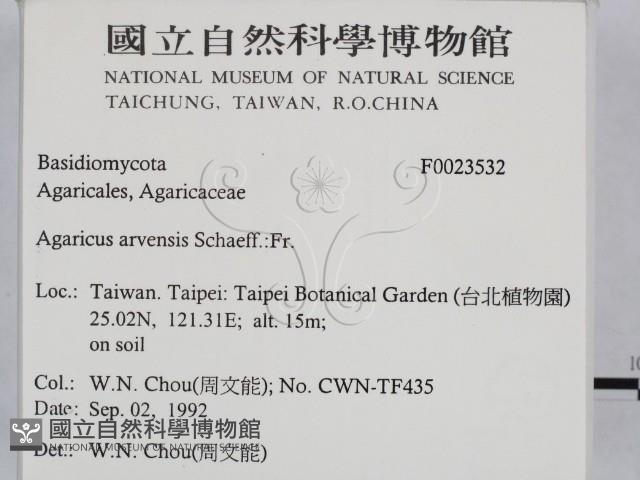 登錄號:F0023532藏品圖，第2張