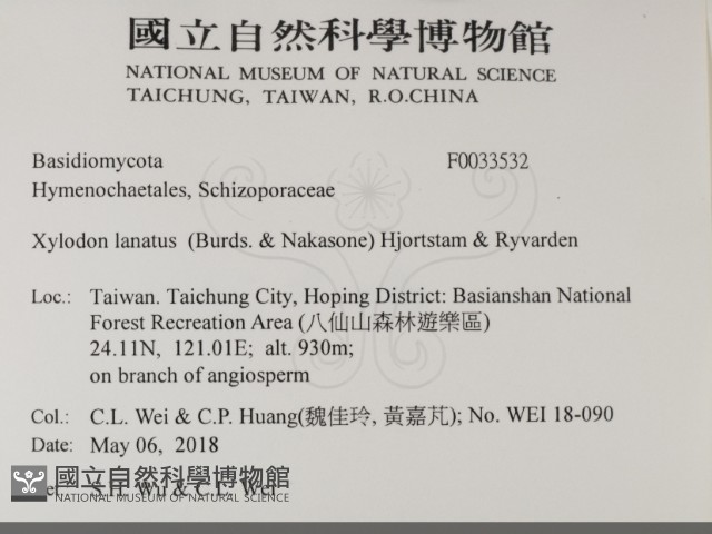 登錄號:F0033532藏品圖，第2張