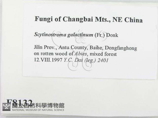 登錄號:F0008132藏品圖，第2張