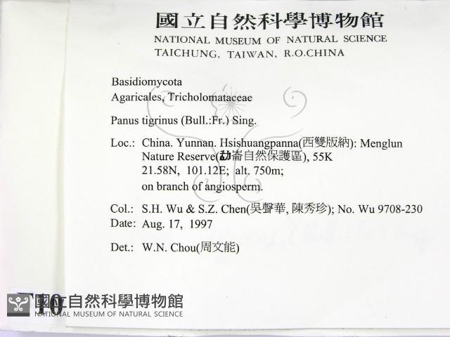 登錄號:F0010132藏品圖，第2張