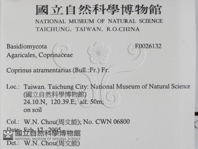登錄號:F0026132藏品圖，第2張