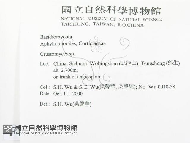 登錄號:F0012132藏品圖，第2張