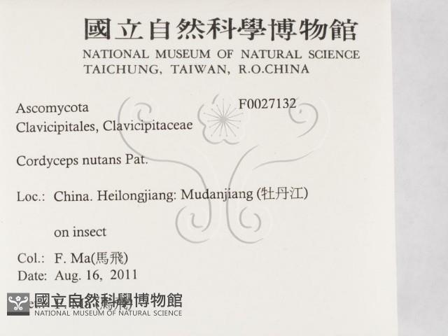 登錄號:F0027132藏品圖，第2張