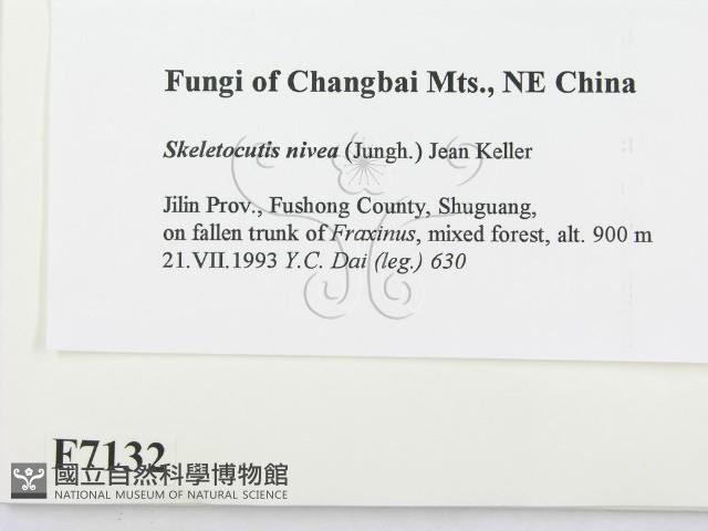 登錄號:F0007132藏品圖，第2張