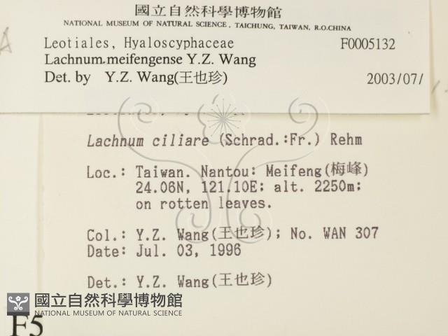 登錄號:F0005132藏品圖，第2張