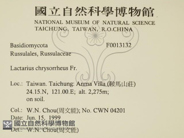 登錄號:F0013132藏品圖，第2張