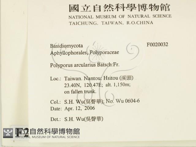 登錄號:F0020032藏品圖，第2張