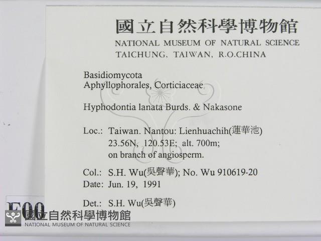 登錄號:F0000032藏品圖，第2張