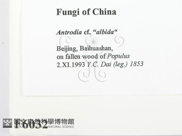 登錄號:F0006032藏品圖，第2張