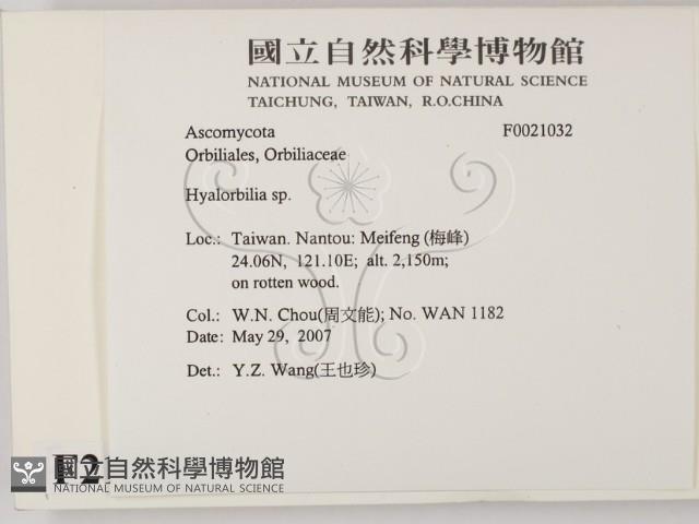 登錄號:F0021032藏品圖，第2張