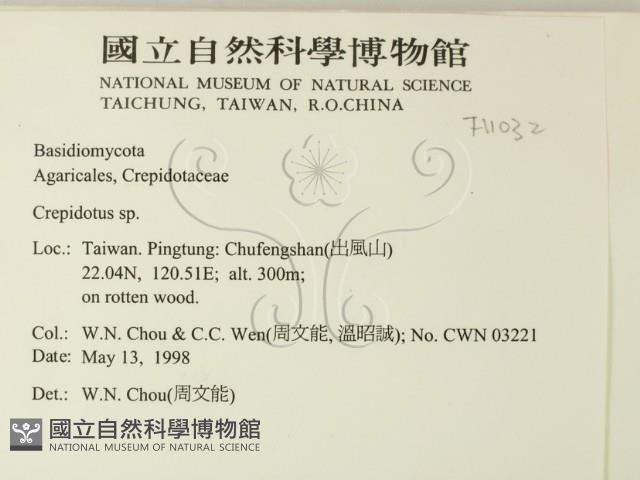 登錄號:F0011032藏品圖，第2張