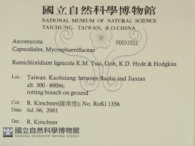 登錄號:F0031032藏品圖，第2張