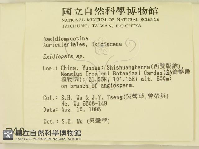 登錄號:F0004032藏品圖，第2張