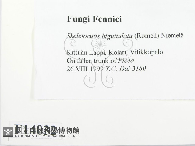 登錄號:F0014032藏品圖，第2張