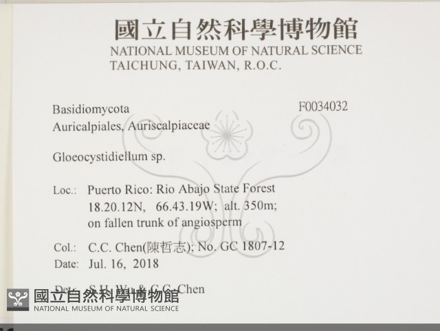 登錄號:F0034032藏品圖，第2張