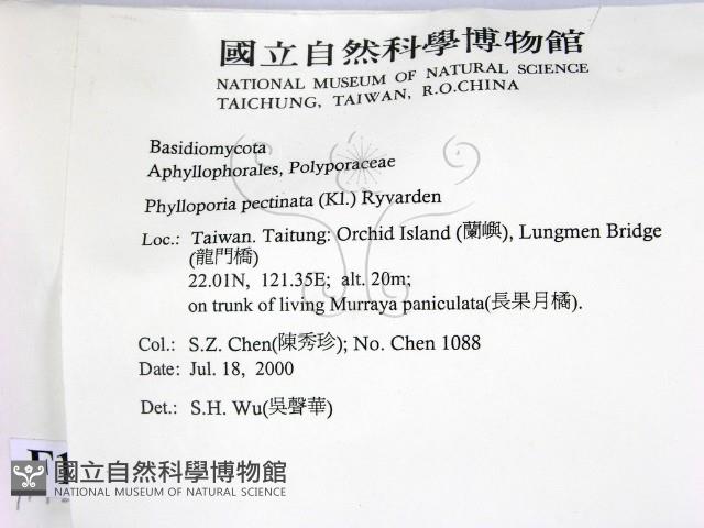 登錄號:F0012032藏品圖，第2張