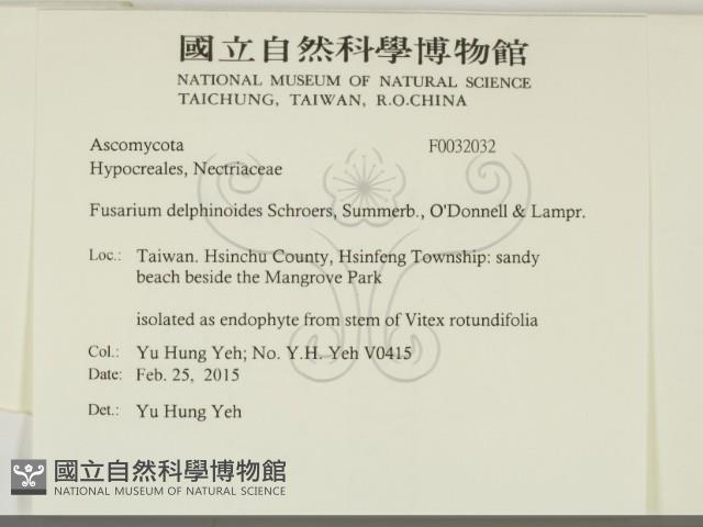 登錄號:F0032032藏品圖，第2張