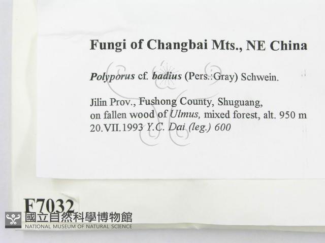 登錄號:F0007032藏品圖，第2張