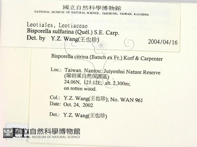 登錄號:F0015032藏品圖，第2張