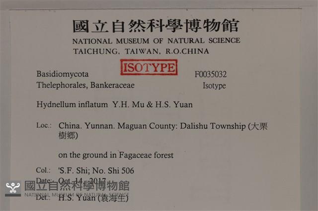 登錄號:F0035032藏品圖，第2張