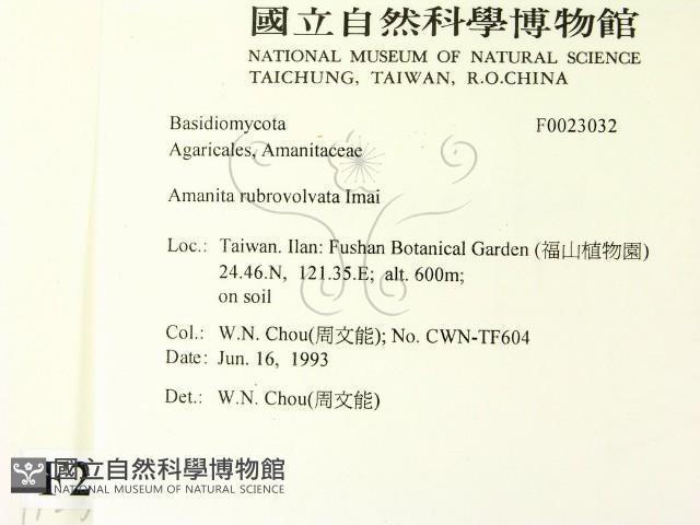 登錄號:F0023032藏品圖，第2張