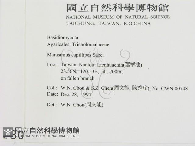 登錄號:F0003032藏品圖，第2張