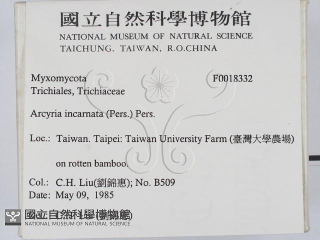 登錄號:F0018332藏品圖，第2張